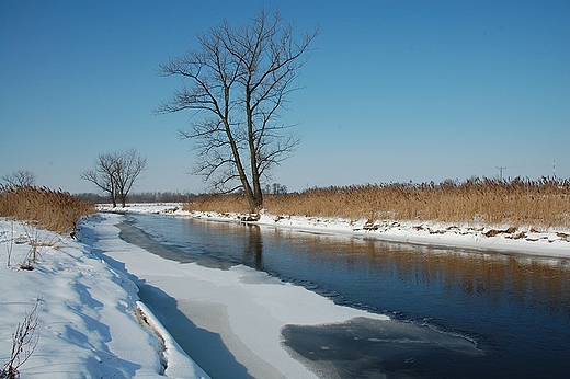 zimowy krajobraz nad Krzn